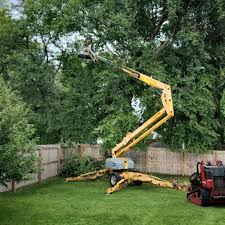 Best Tree and Shrub Care  in West Hurley, NY